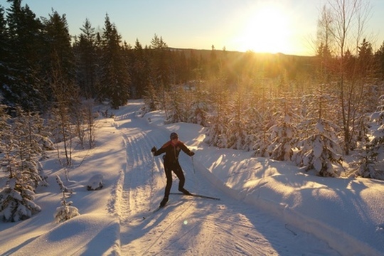 sceneria zimowa w górach i człowiek na nartach biegowych