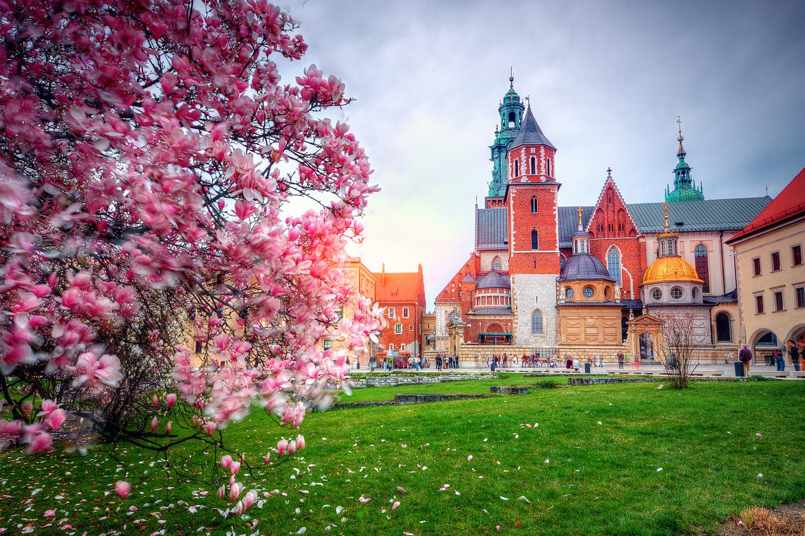Wawel w Krakowie w wiosennej scenerii